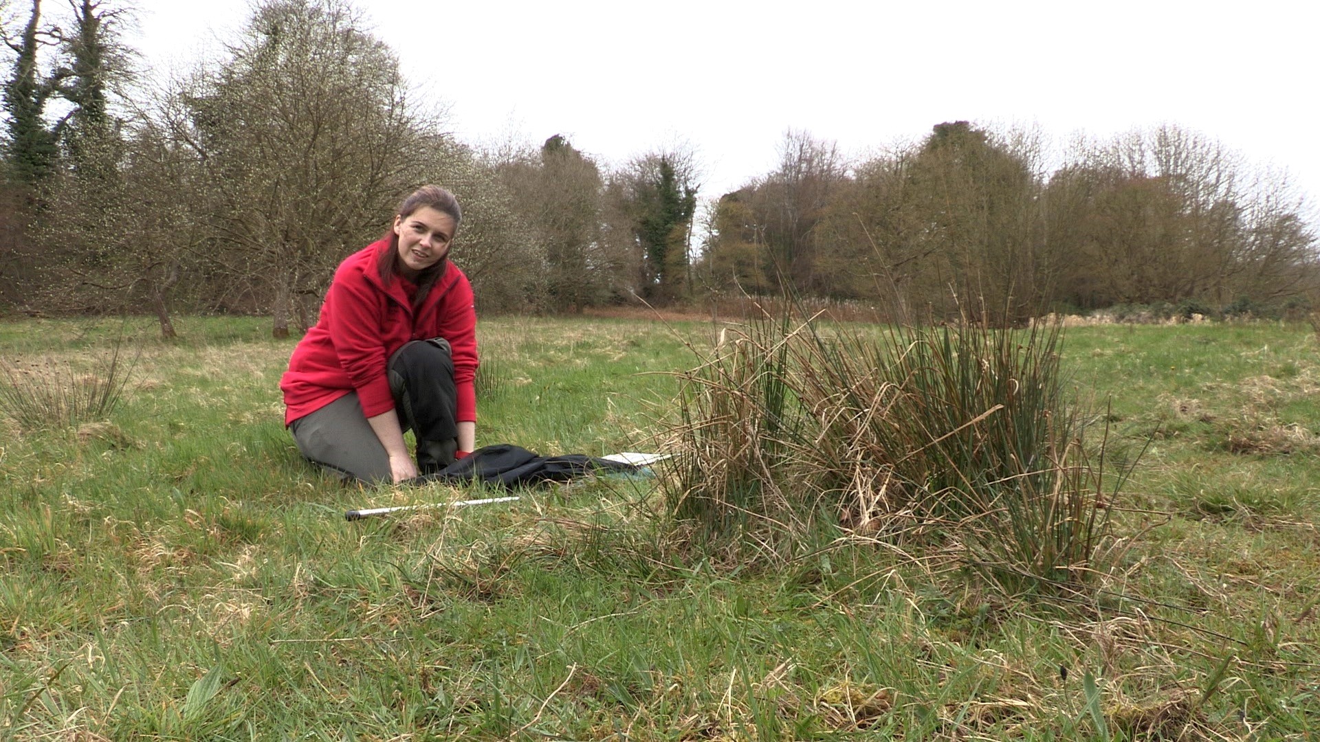 Danielle conducts bee and butterfly surveys in her new job Danielle conducts bee and butterfly surveys in her new job
