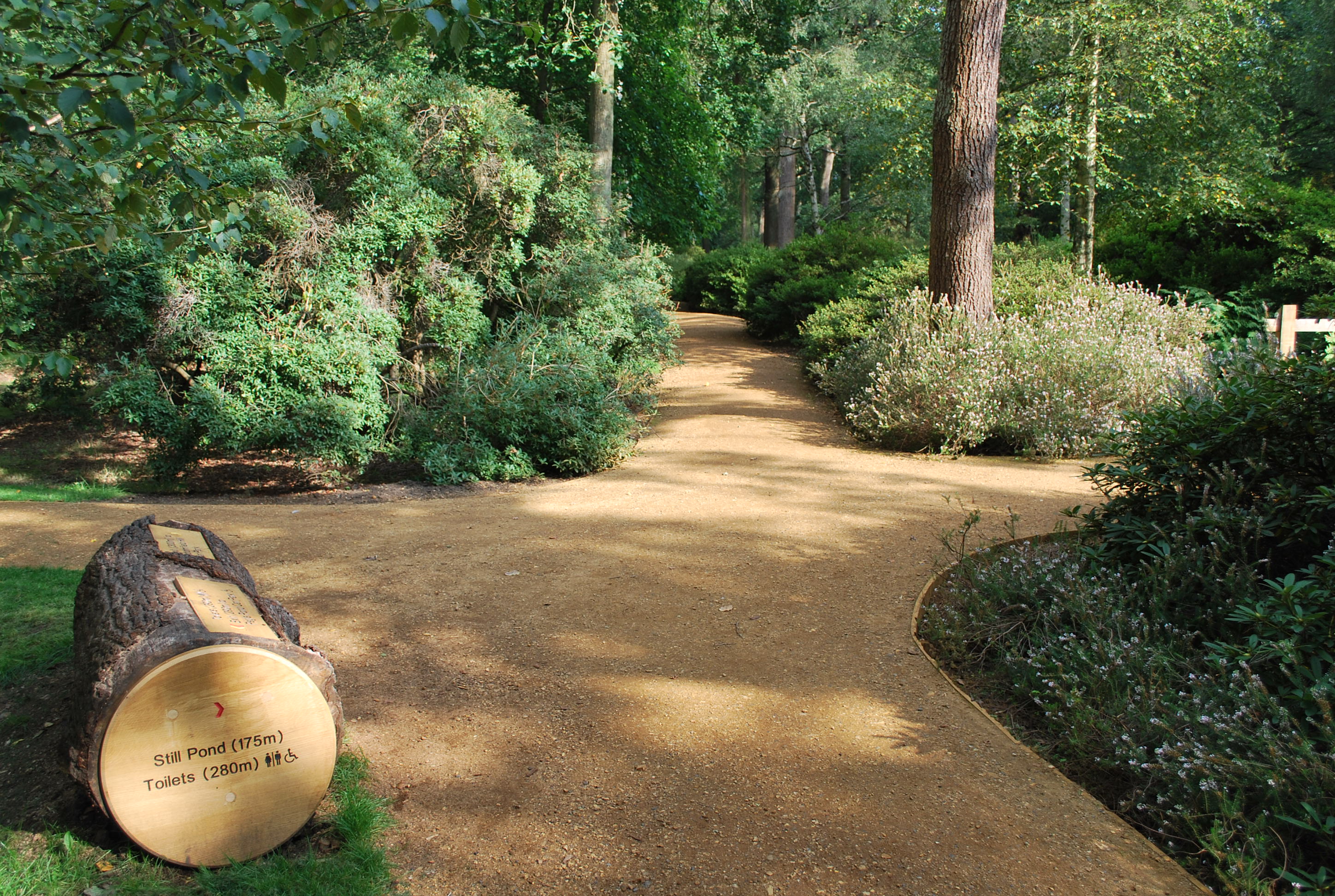 Celebrating great days out for Disabled Access Day Accessible paths in Isabella Plantation, Richmond