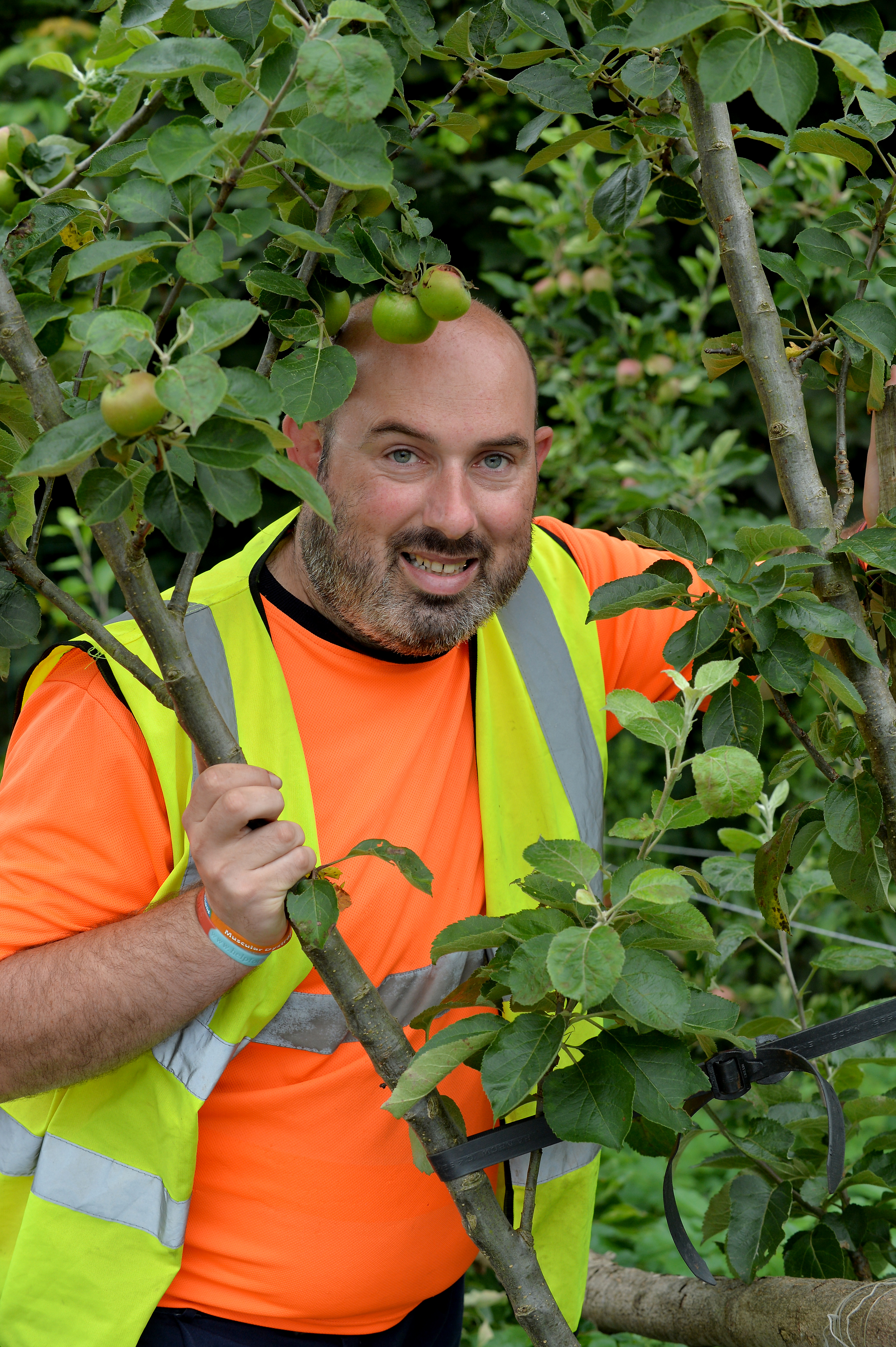 Matt Bateman, a volunteer at Burslem Park Matt Bateman, a volunteer at Burslem Park