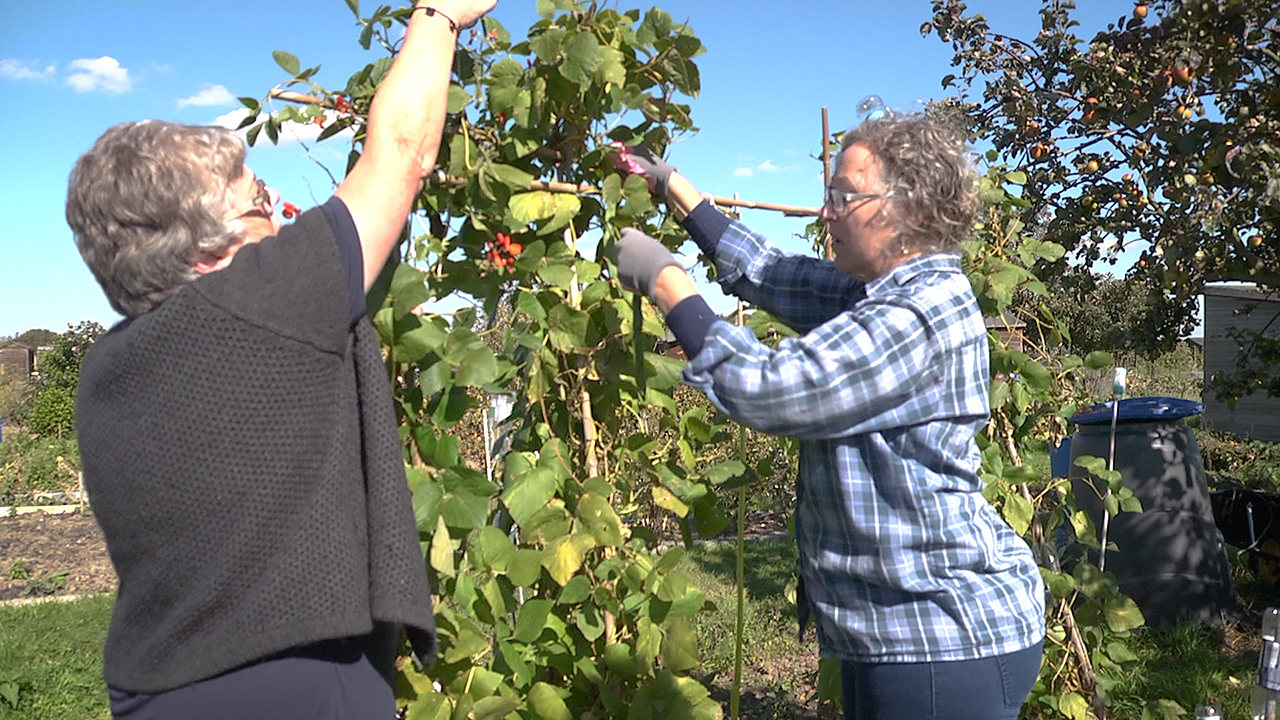 Changing lives: how art helped Angela through bereavement Angela and Triss on Create and Flourish's allotment