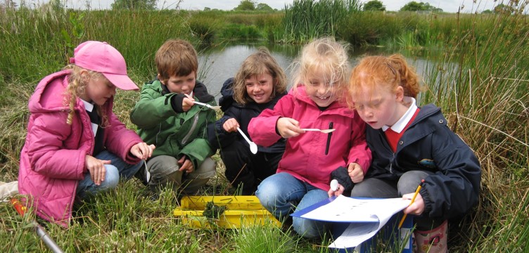 Children pond dipping Children pond dipping