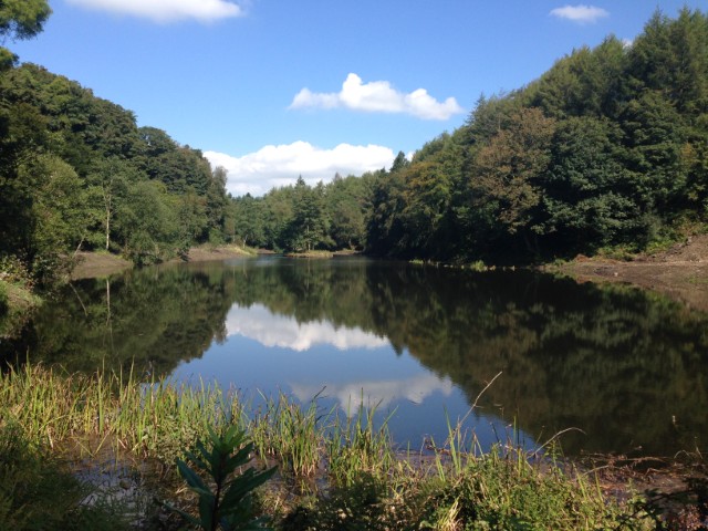 Upper lake at Penllergare Upper Lake at Penllergare