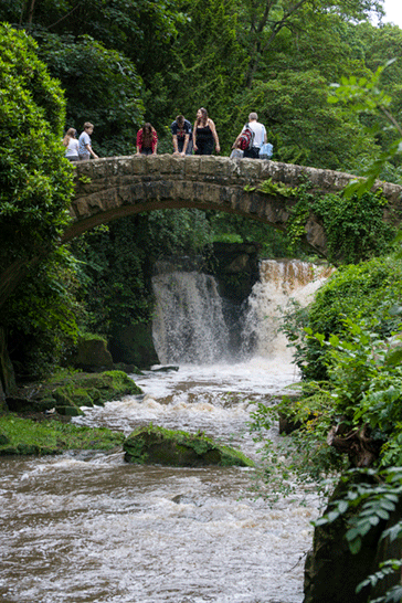 People standing on a bridge over water in Ouseburn Park, Newcastle