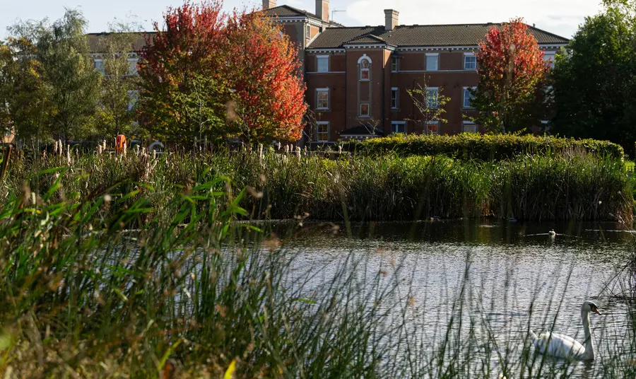 Forest Lane Park, Newham showing a pond with wildlife, reed beds, a historic building and trees.