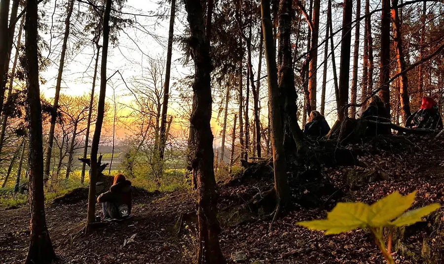 People sitting in a forest watching the sunrise