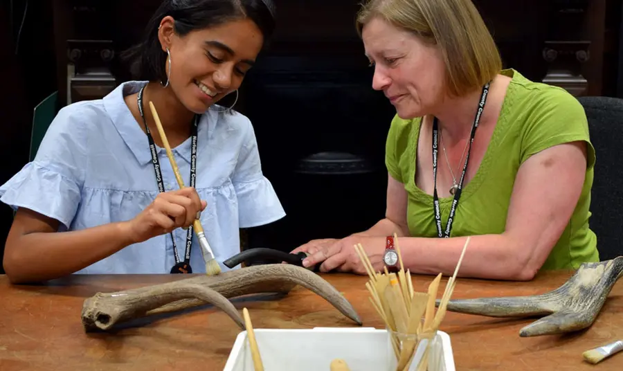 A woman watching as a younger woman cleans an antler behind the scenes at Norfolk Museums