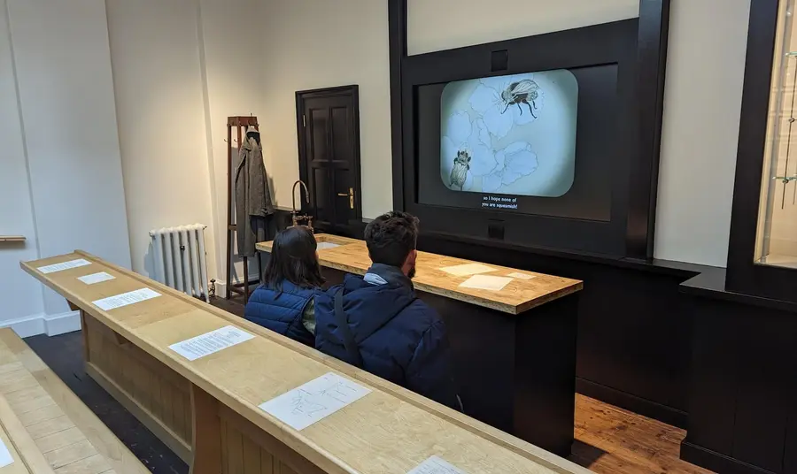 Two people are sat at a bench in lecture theatre-style room and are looking at a projector with bees on the screen.