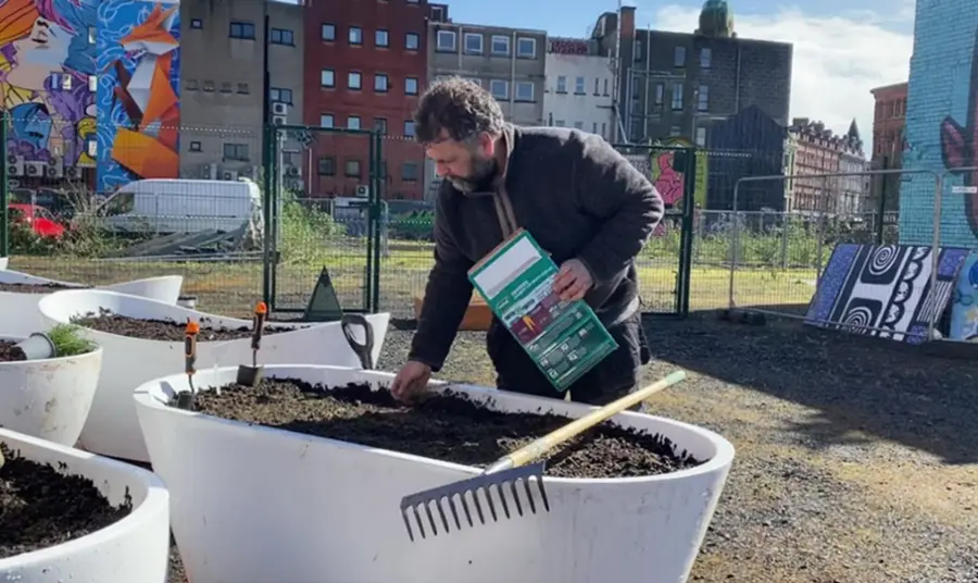 A planting session at the site in central Belfast. A man plants seeds in a bathtub-sized planter.