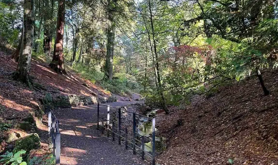 New accessible pathways through Parc Cefn Onn