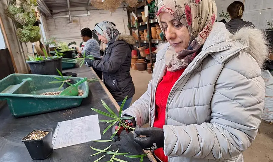 A person is taking part in a community workshop in horticulture, with a plant in their hand.