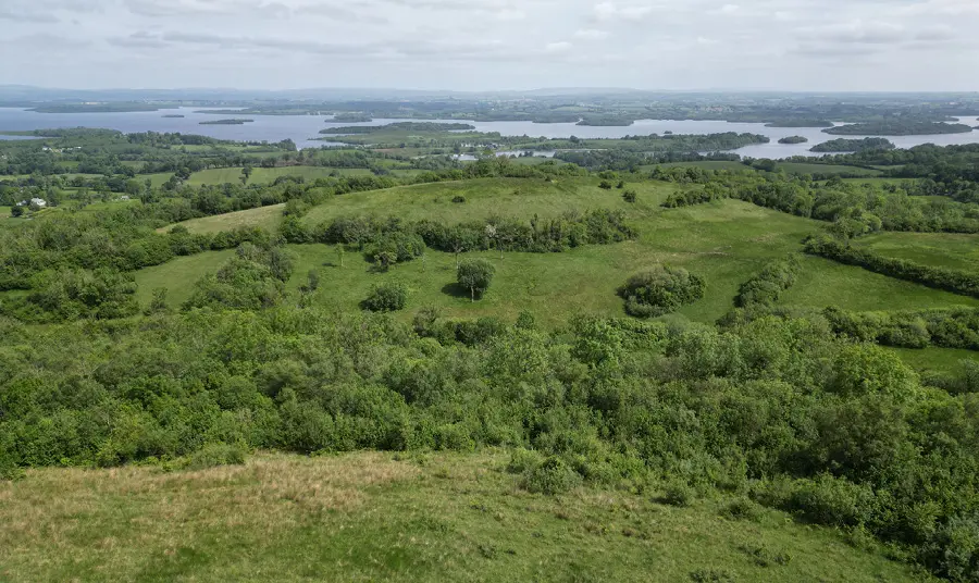 An aerial view of the Fedian fields