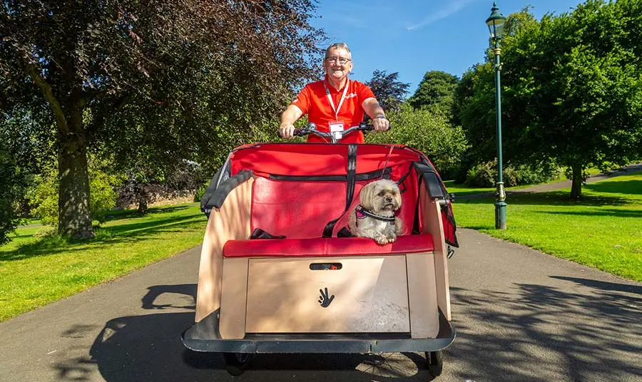 A person is cycling through the park with a dog in the front.