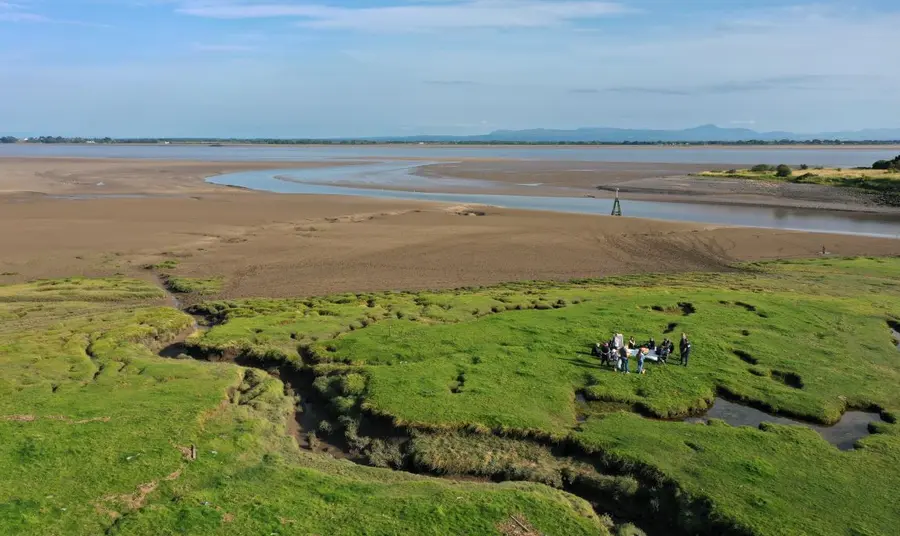 gathering_on_the_saltmarsh.jpg A group of conservationists gather on the salt marshes bordering the Solway Firth. In the distance, the waters of the Firth and mountains can be seen on the horizon.