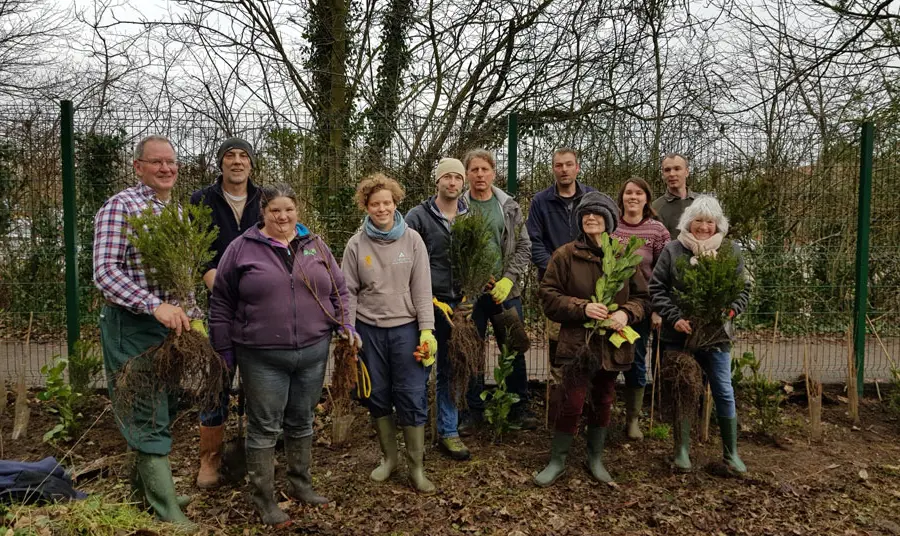 A group of people plant mixed species hedgerow