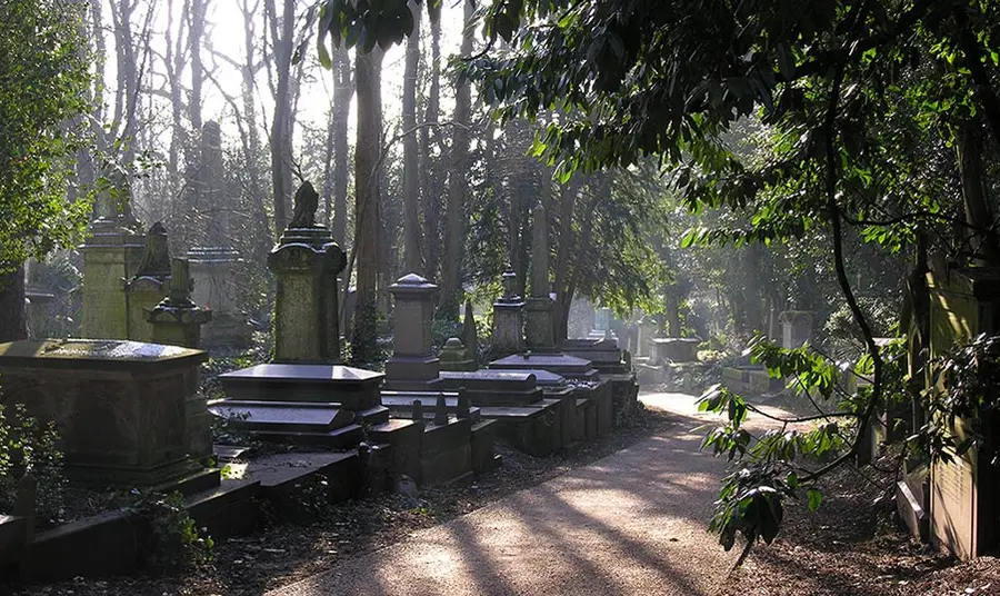 a cemetery during summer, with gravestones surrounded by a path and trees