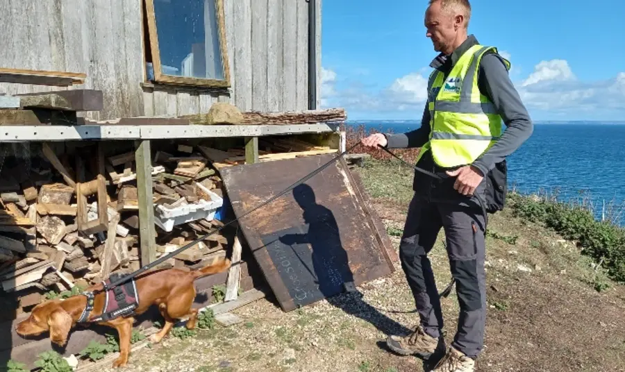 A person in a hi-vis jacket with a dog on a lead, inspecting a building on the coast