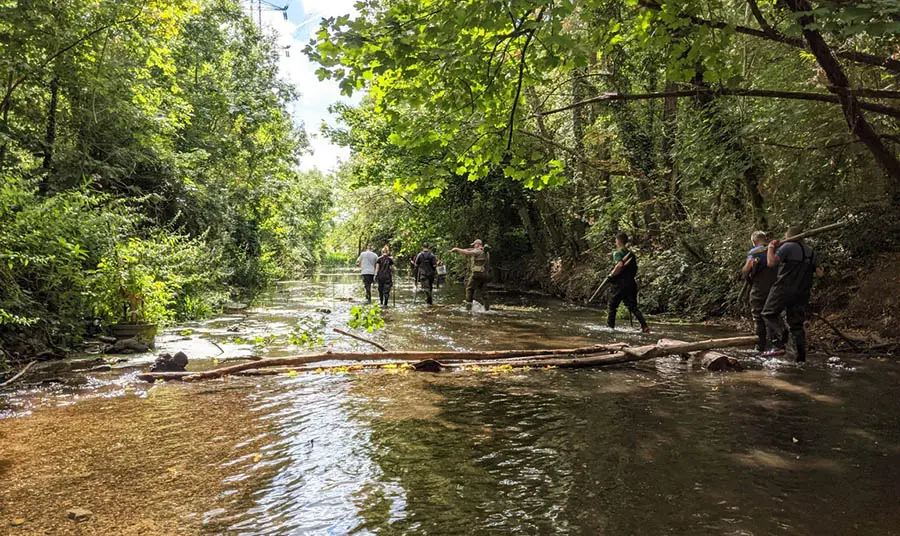 Nifer o bobl yn cerdded trwy afon fas gyda choed ar ei hyd