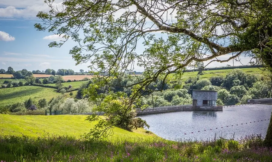 A view of a lake and a dam from under a tree