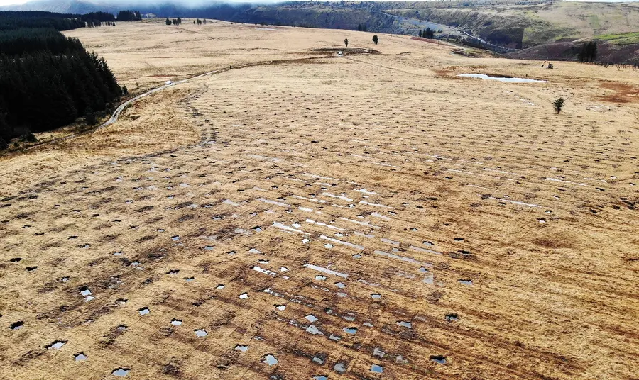 An aerial drone photograph looks across a vast expanse of peatland, where restoration work is underway.