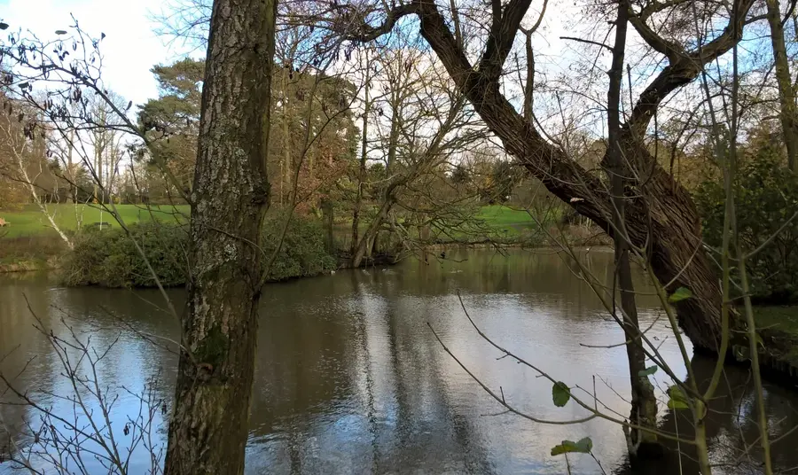 A view of the lake at Barclay Park