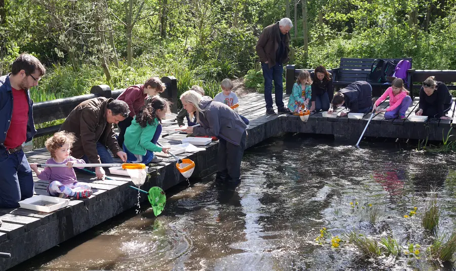 Family pond dipping at Camley Street Natural Park
