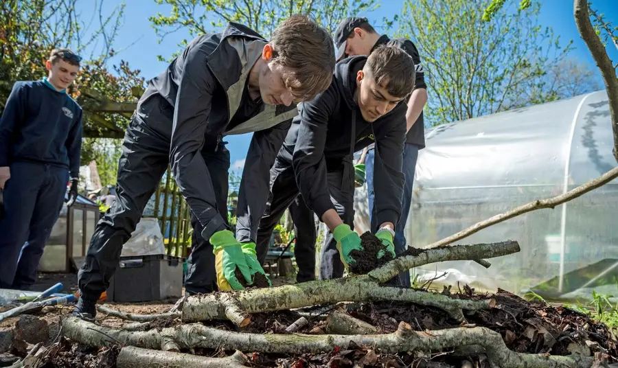 Students undertake habitat restoration on an allotment.