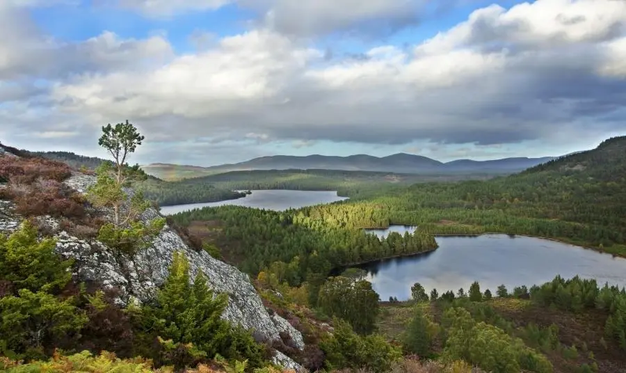 Twelve pioneering projects shortlisted for Heritage Horizon Awards Cairngorms National Park