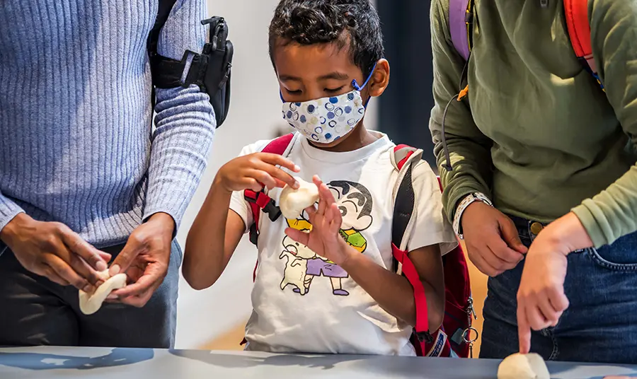 North A boy wearing a mask in a museum