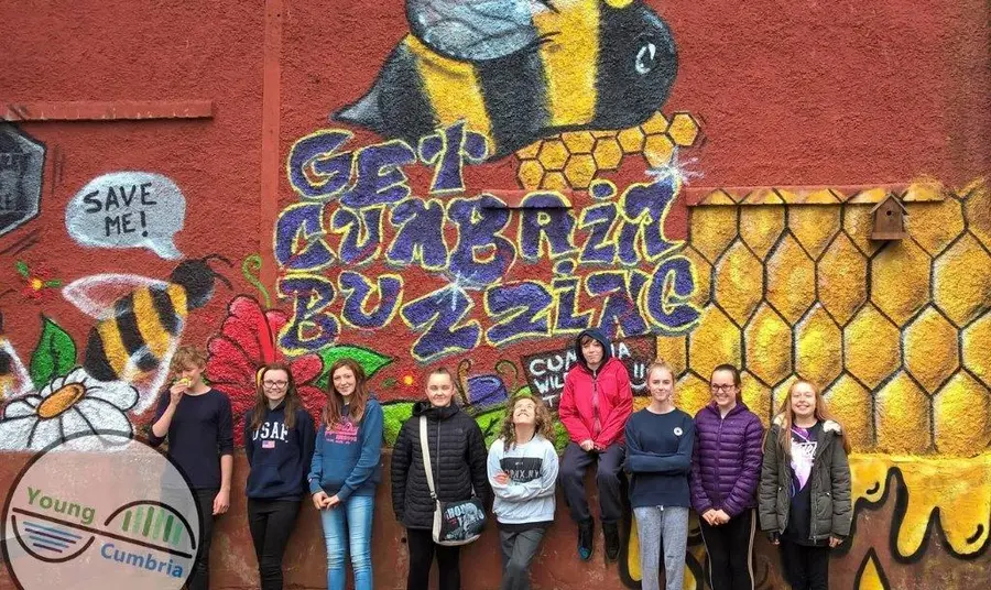 The Get Cumbria Buzzing project