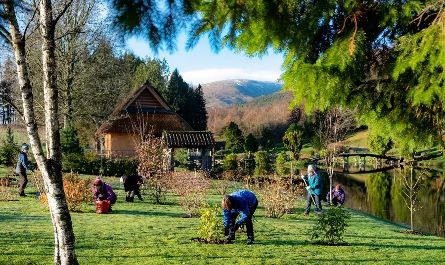 Pobl yn tirlunio yn yr Ardd Japaneaidd yn Cowden, yr Alban