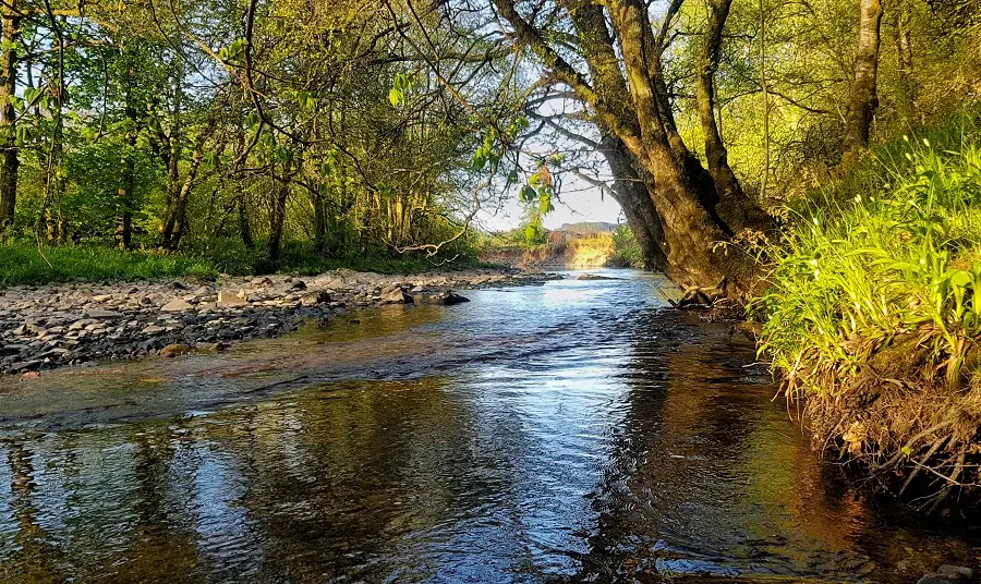 River running through Keltie Burn, Forth basin