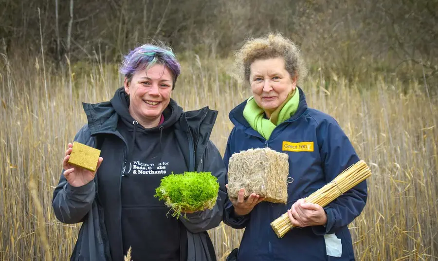 Two people standing in a fen carrying crops that have been turned into insulation products