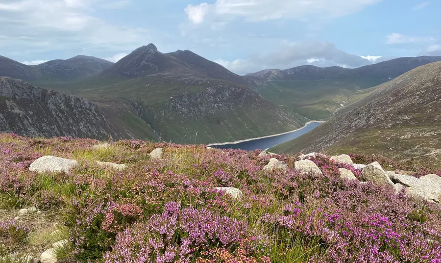 The Mournes