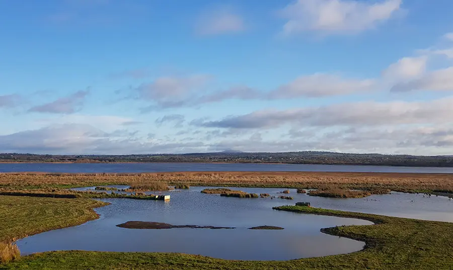 RSPB NI Portmore Lough