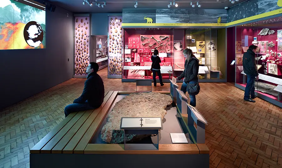 Local economy guidance Visitors in a museum