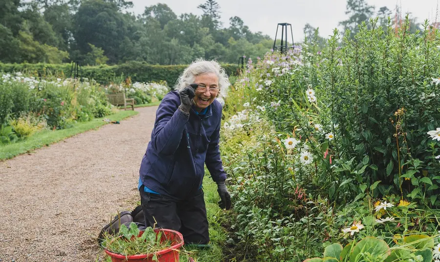 Restoring Florence Court’s kitchen garden to its former glory Person kneeling in outdoors space whilst smiling