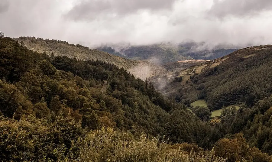 Woodland in a valley