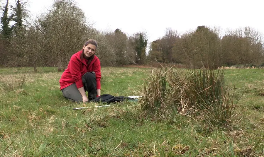 Changing lives: traineeship guides Danielle out of a dead end Woman working in a field