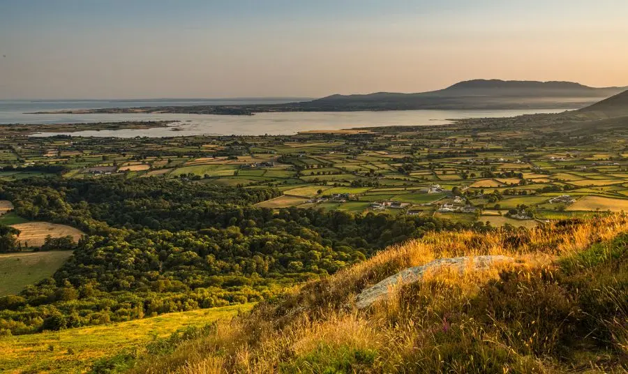 View from Knockchree hill as the sun rises over woodland towards the Irish Sea