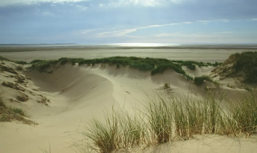 Let’s get sand dunes moving and thriving