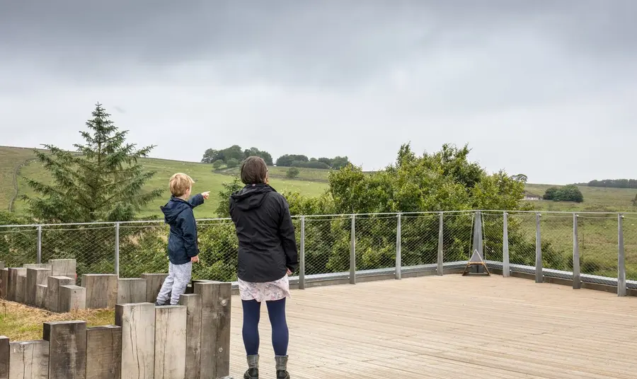 An adult and child stand on decking, looking out over a countryside landscape