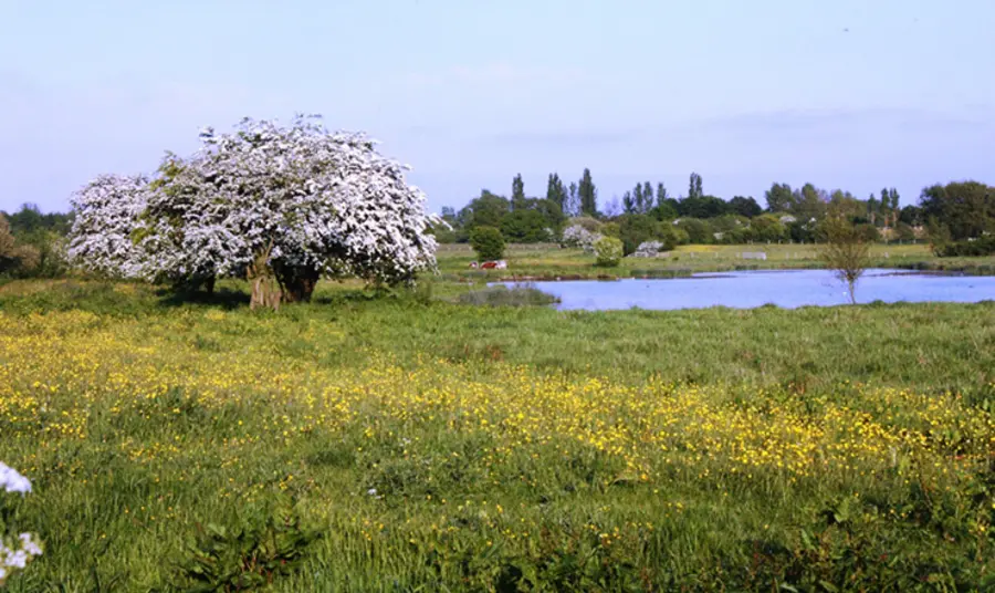 Environmental sustainability guidance Environmental sustainability guidance