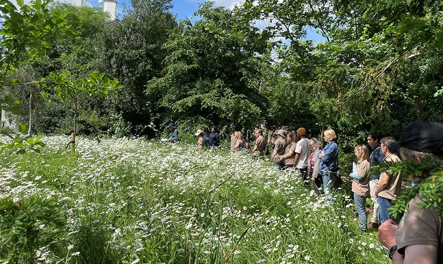 People engaging with nature