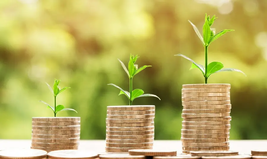 Three ascending piles of coins with a green plant shoot appearing to grown from each.