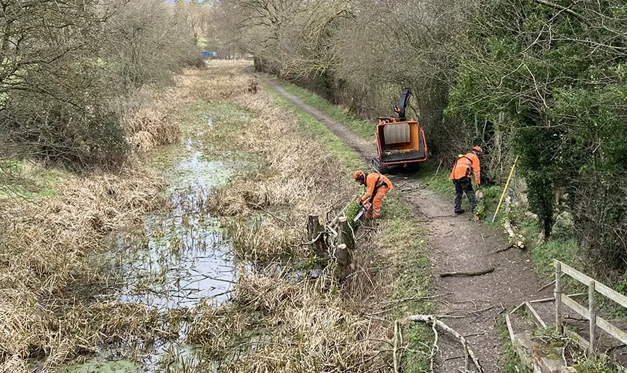 Workers clear trees on a section of overgrown canal