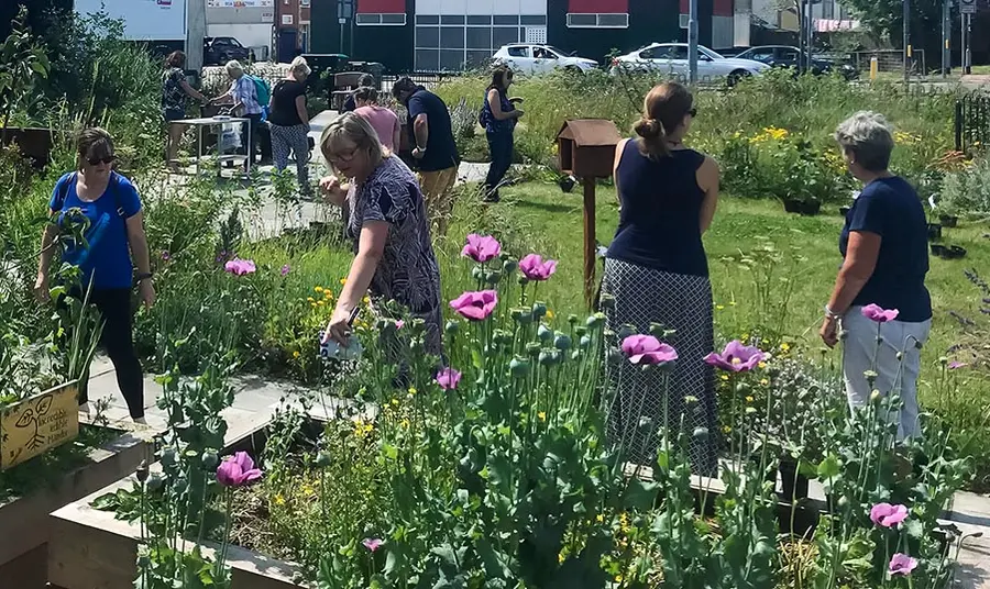 A group of people standing in and looking at a garden with grass and flowers in an urban neighbourhood