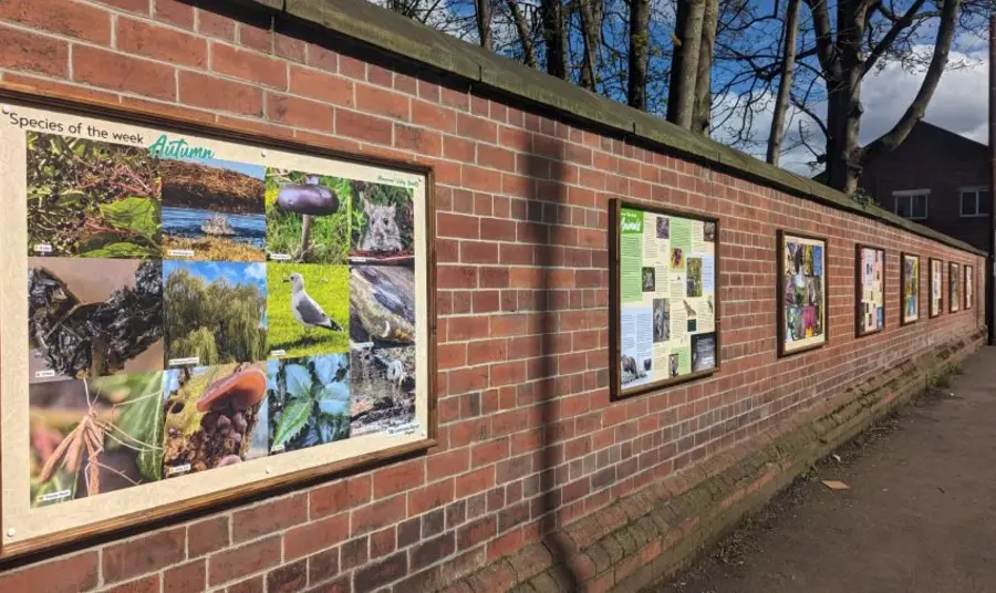 Meanwood Valley Bioblitz exhibition. Exhibition panels along a brick wall featuring photographs and information on the Meanwood Valley's biodiversity.