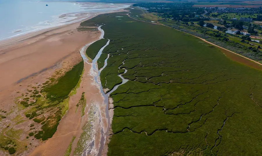 Looking over salt marsh on Cleethorpes coast. 