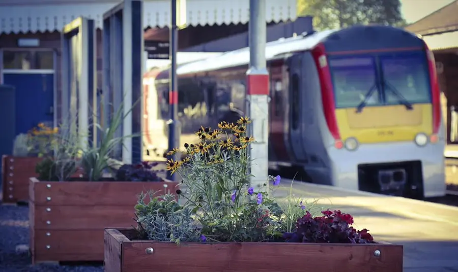 Wooden planters containing flowering plants on the platform of a train station.