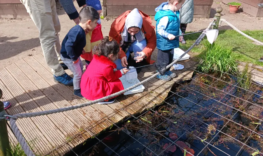 Photograph of a group of children playing near a pond.